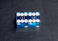 blue6s.jpg (9078 bytes)